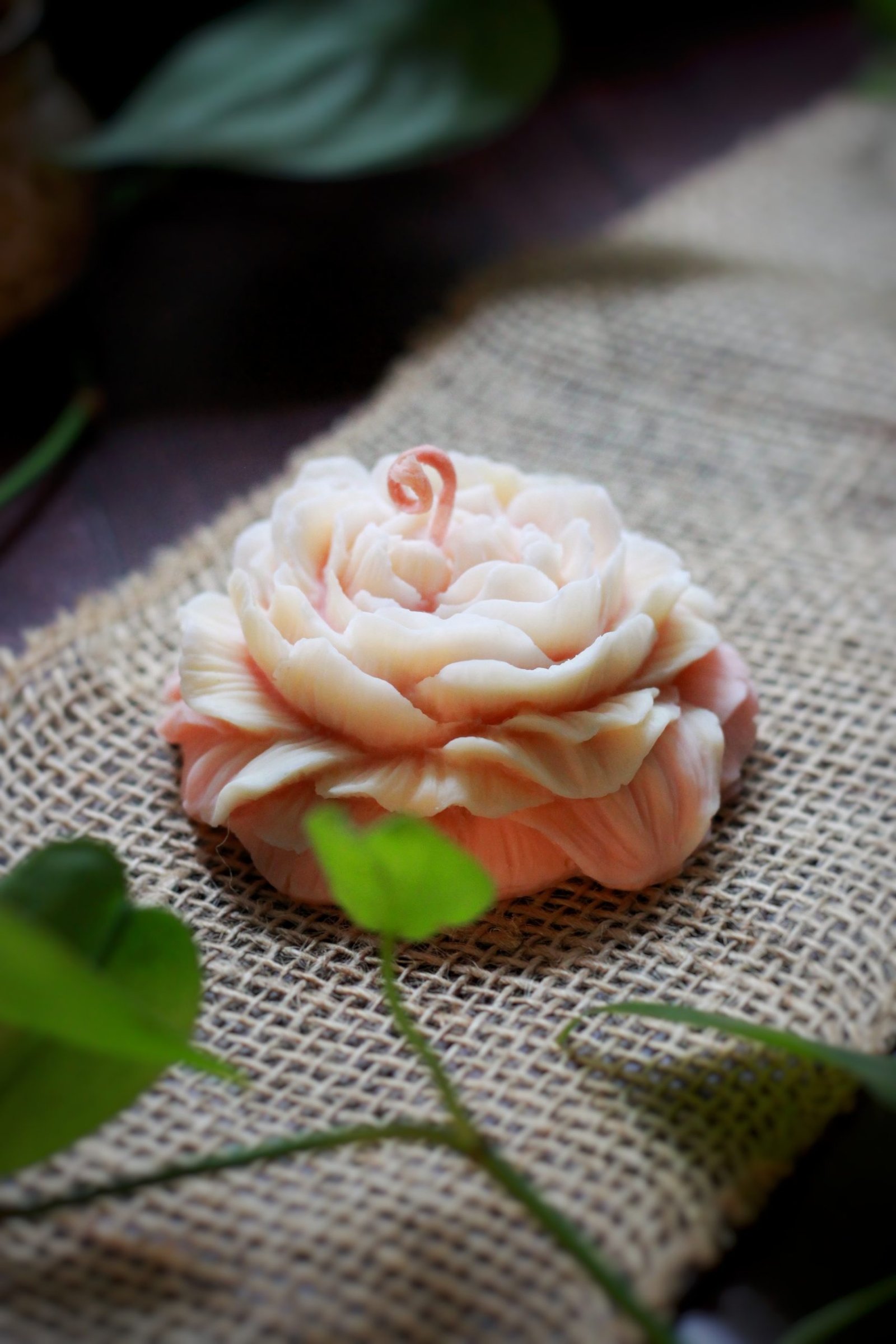 Rose des Sens au Pamplemousse