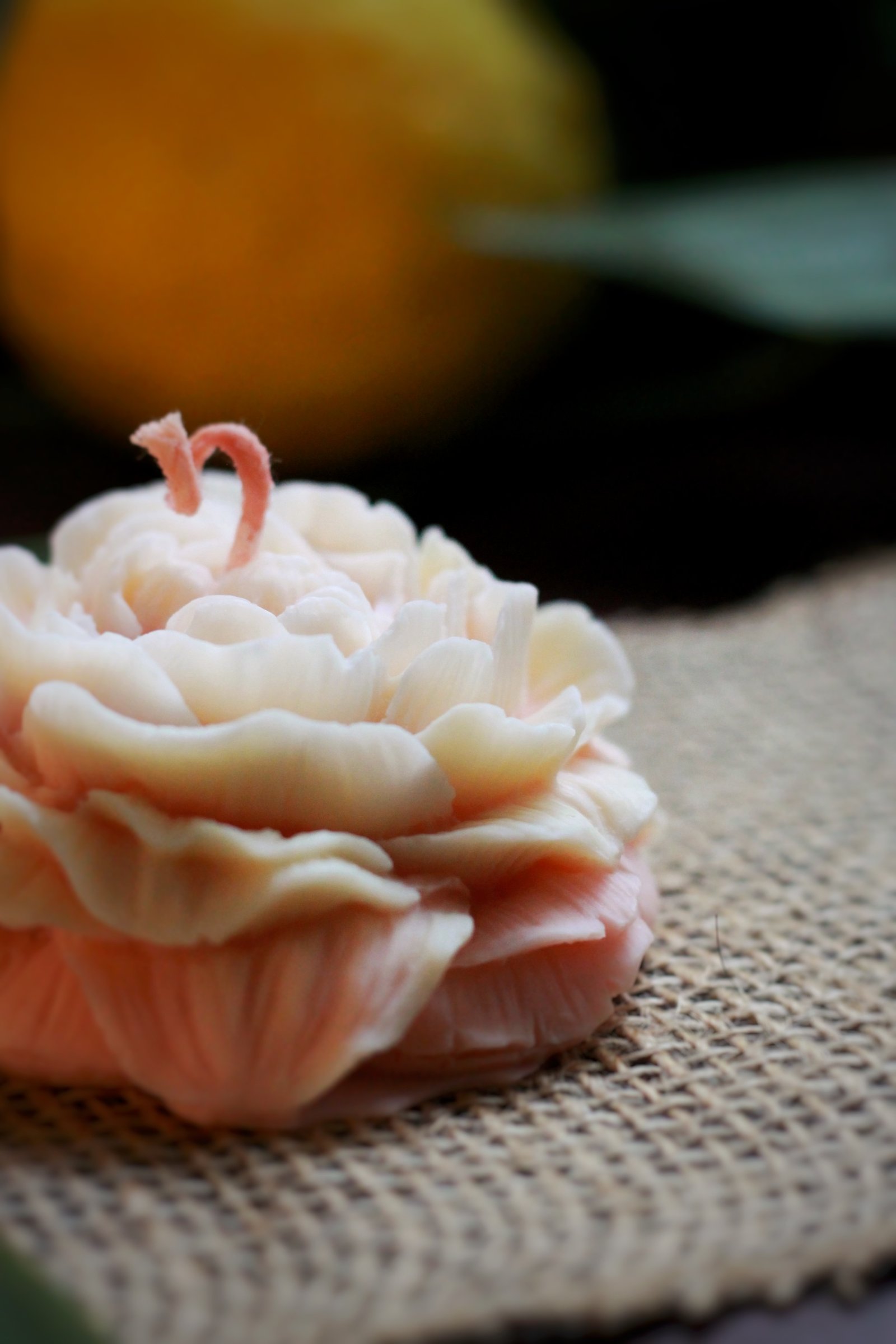 Rose des Sens au Pamplemousse – Image 4