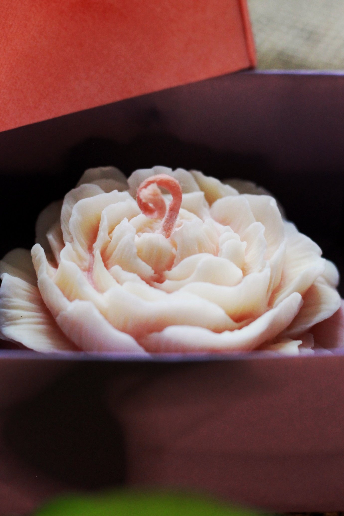 Rose des Sens au Pamplemousse – Image 3