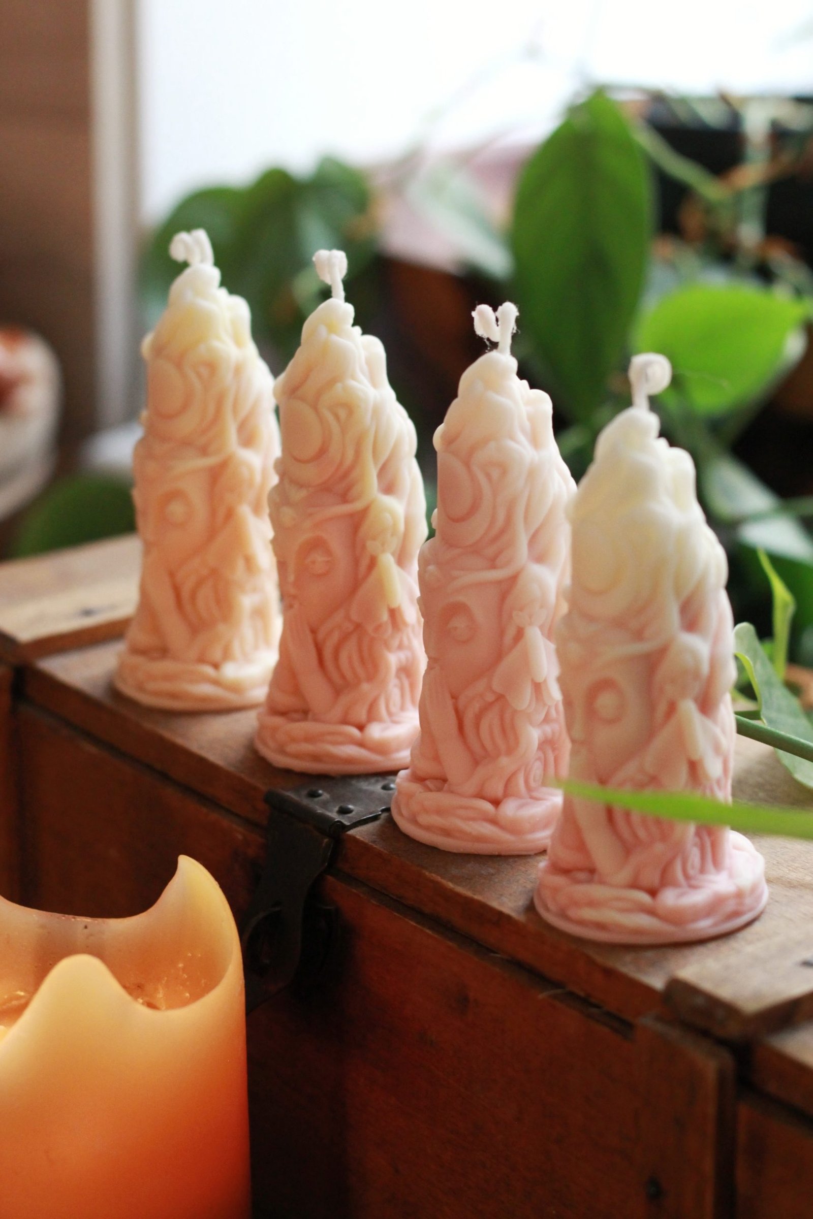 Gardienne de la Lune au Pamplemousse – Image 2